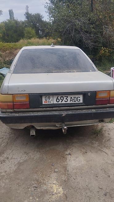 цветные лампы: Audi 100: 1989 г., 2.3 л, Механика, Бензин, Седан — 5