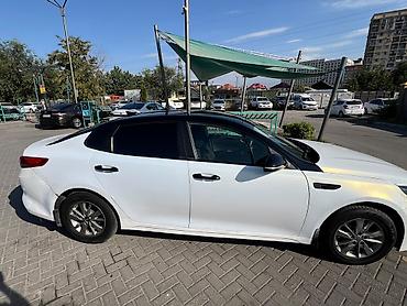 катафота: Kia Optima: 2017 г., 2 л, Автомат, Бензин, Седан — 6
