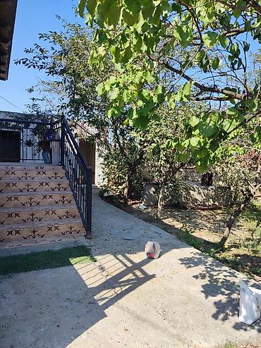 Balaxanı qəs. 5 otaqlı, 4 kv. m, Kredit yoxdur, Yeni təmirli