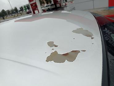 Nissan: Nissan Almera: 2002 г. — 9