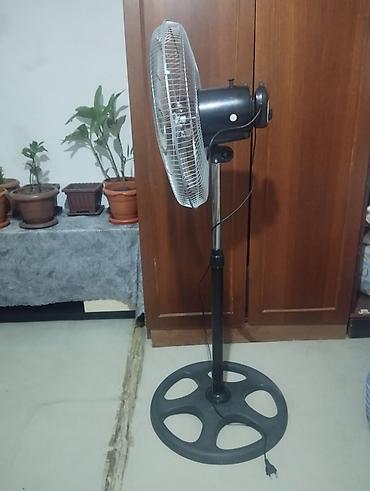 ventilyator kontakt home: Dayaqlı döşəmə ventilyatoru - Tip: Elektriklə işləyən döşəmə (ayaqlı) — 3