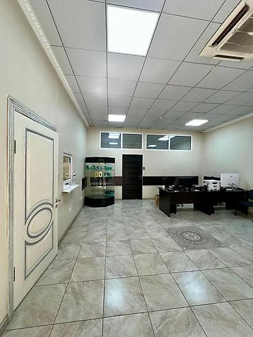 Продажа офисов: Продажа офисов 192 м², 1 этаж — 11