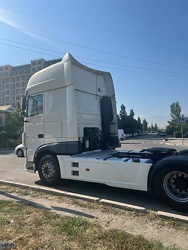 калыб: Сүйрөгүч, DAF, Прицепсиз — 8