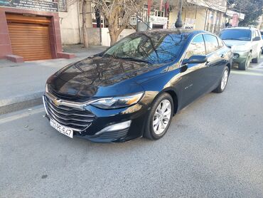 Nəqliyyat vasitəsinin icarəsi: Günlük, Depozitsiz — 21