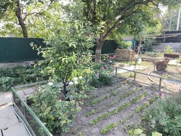 Продажа домов: Дом, 50 м², 6 комнат, Собственник, Евроремонт — 13