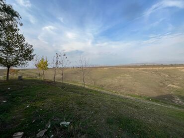 Torpaq sahələrinin satışı: Kənd təsərrüfatı — 33