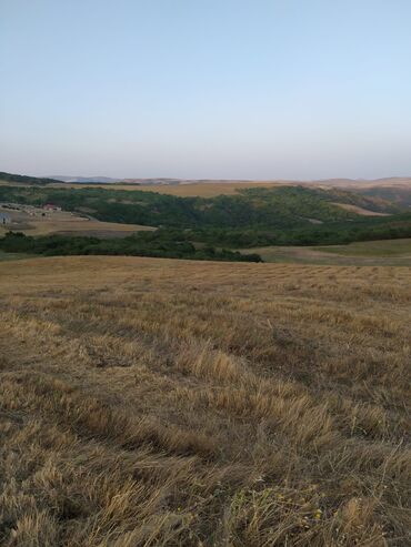 Torpaq sahələrinin satışı: 300 sot, Kənd təsərrüfatı, Mülkiyyətçi -da lalafo.az — 10 Torpaq sahələrinin satışı: 300 sot, Kənd təsərrüfatı, Mülkiyyətçi — 10