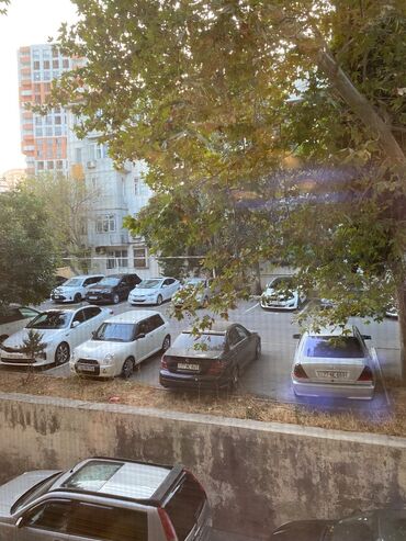 Uzunmüddətli kirayə mənzillər: Evin sahibiyem. Seliqeli ve her bir şerayeti olan evdi. Etraf sakit ve — 11