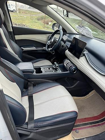 BYD: BYD Yuan Plus: 2022 г., Электромобиль, Кроссовер — 11