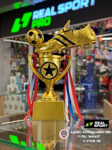 Другое для спорта и отдыха: Кубки, статуэтки, номинации. Золотые кубки, статуэтки, номинации, а — 2