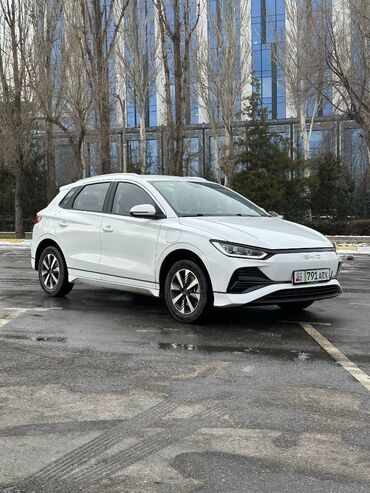 BYD: BYD E2 Luxury! Хотите снизить расходы на топливо и стать владельцем