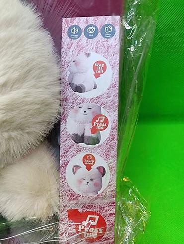 котенок белый купить: 🐱 Интерактивные плюшевые игрушки — котёнок и щенок! 🐶💕 Невероятно — 10