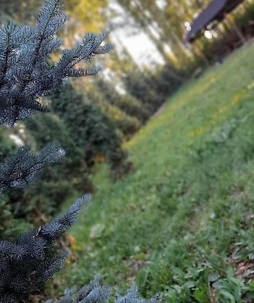 аренда сталовой: 🌲 Зона отдыха "Фазенда"🌲 К вашим услугам мы предлагаем в аренду: ☀️ — 5