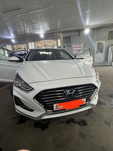 hyundai sonata y20: Ева полики Новые зимние резины в комплекте Чехол новый за 200$ Ездила