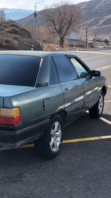 Audi: Audi 100: 1989 г., 2.3 л, Механика, Бензин, Седан