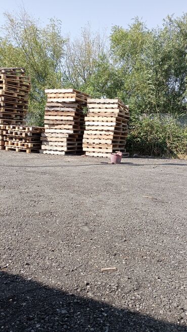 Alətlər: Pallet, 1000 х 1200 sm