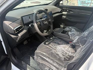 byd han ev: Zeekr : | 2026 г. Кроссовер — 9
