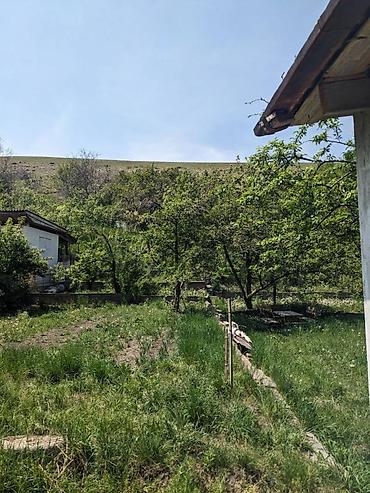 Продажа дач: Очень срочно!!! Продаю или меняю !!! на квартиру !!! Дача с подвалом — 16