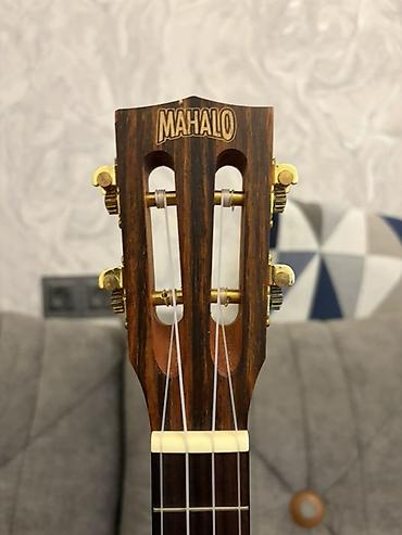 ukulele: Ukulele, Yeni — 5