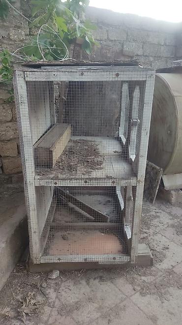 dovşan reks: Taxta və metal torlu çoxbölməli qəfəs - Material: taxta karkas, ön və — 1