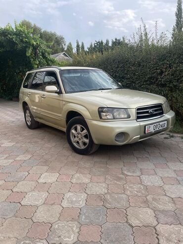 дом на колосах: Subaru Forester: 2002 г., 2 л, Автомат, Газ, Универсал