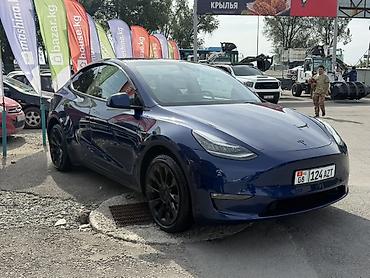 Tesla: Tesla Model Y: 2023 г., Вариатор, Электромобиль, Кроссовер — 1