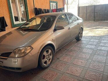 Коровы, быки: Nissan Primera: 2005 г., 1.8 л, Механика, Бензин, Хэтчбэк