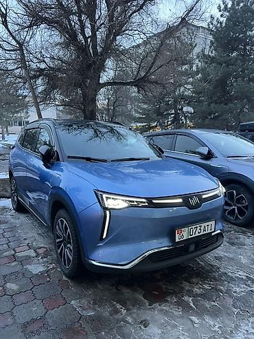 Weltmeister: Weltmeister W6, 2021 г., 74000 км, Передний, В наличии — 1