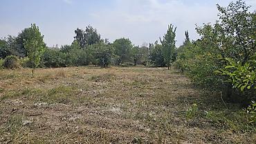 Продажа времянок: Продаю времянку с участком 16 соток (21,75 м на 74 м) в селе — 8