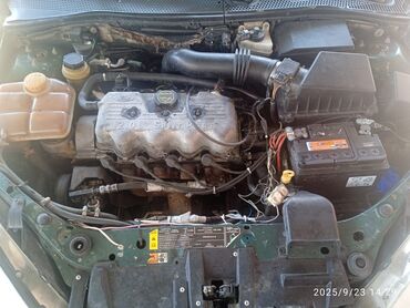 Ford: Ford Focus: 2 l | 2001 il 123528 km Sedan — 13