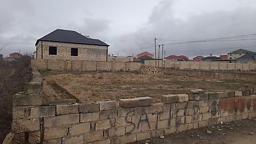 Torpaq: 1 sot, Kənd təsərrüfatı, Mülkiyyətçi, Kupça (Çıxarış) — 7