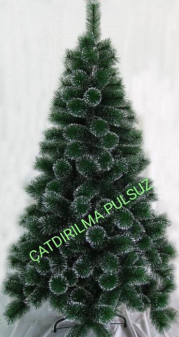 şam ağacı satışı: Sifarisle eve getiririk Çatdırılma pulsuz whatsapp aktivdir 🌲🌲🌲90sm — 1