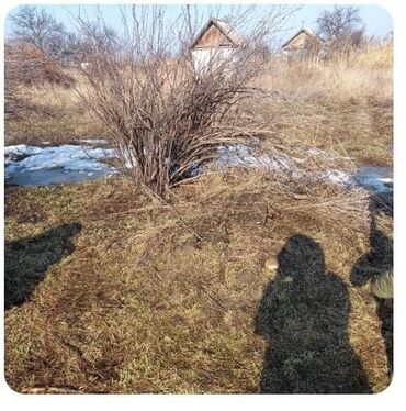 аренда дом ак босого: Времянка, 15 кв. м, 1 бөлмө, Менчик ээси, Эски ремонт