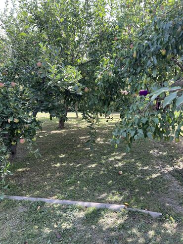 Продажа домов: Дача, 10 м², 6 комнат, Собственник, Старый ремонт — 15