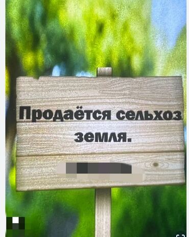 город кант куплю дом: 200 соток, Для бизнеса