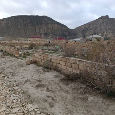 İnformatika: Tikinti, Mülkiyyətçi, Bələdiyyə