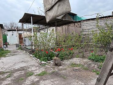 Продажа коттеджей и домов: Продам дом,Кара-Балта. ЕСТЬ ТОРГ. Две комнаты Большая кухня Гараж at lalafo.kg — 10 Продажа коттеджей и домов: Продам дом,Кара-Балта. ЕСТЬ ТОРГ. Две комнаты Большая кухня Гараж — 10