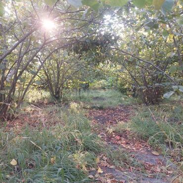 Torpaq sahələrinin satışı: 12 sot, Tikinti, Mülkiyyətçi, Kupça (Çıxarış) — 3