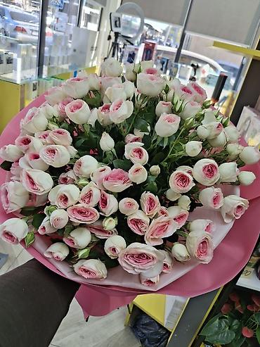 малина полана купить: Букет из кустовых роз 1 ветка 150 сом высота 70 см наш адрес — 1
