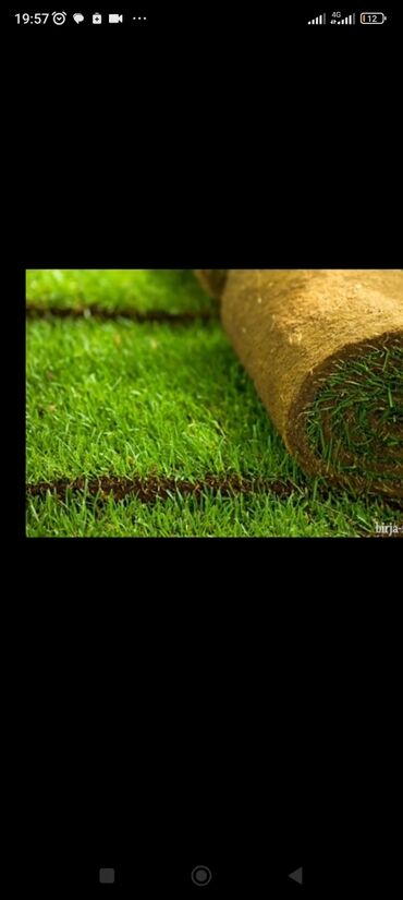 Toxumlar: Qazon catrlma qurasdrma 
tordf
kakavide var topdan sats qiymete — 7