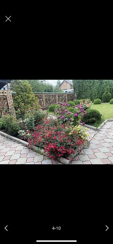 Долгосрочная аренда домов: 600 м², 7 комнат — 7