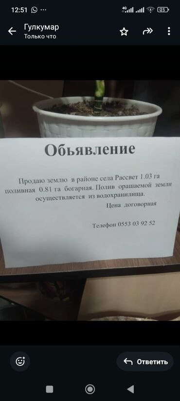 участок в село садовое: 1003 соток, Для сельского хозяйства
