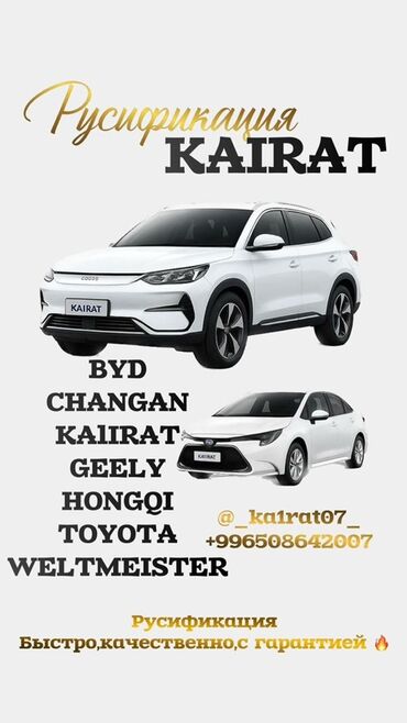купить магнитные наклейки на авто: BYD : 2024 г.