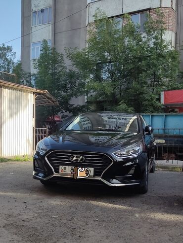 поло машина: Hyundai Sonata: 2017 г., 2 л, Автомат, Газ, Седан