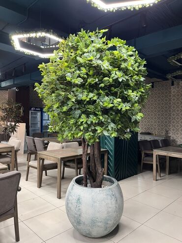 дом на колесах купить бишкек: Instagram: Mayram.decor.kg Искусственное дерево с пышной зеленой