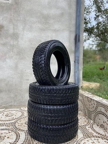 turistik qosqu satisi: Yeni Şin Lassa 175 / 70 / R 13 — 3