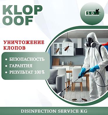 Дезинфекция, дезинсекция: Дезинфекция, дезинсекция, | Клопы, | Дома, Квартиры, Офисы — 1