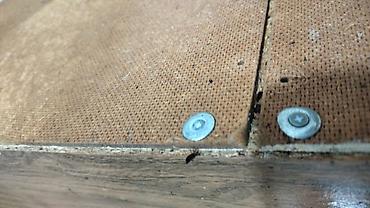 Дезинфекция, дезинсекция: Дезинфекция, дезинсекция, | Клопы, Блохи, Тараканы, | Транспорт, Офисы, Квартиры at lalafo.kg — 27 Дезинфекция, дезинсекция: Дезинфекция, дезинсекция, | Клопы, Блохи, Тараканы, | Транспорт, Офисы, Квартиры — 27