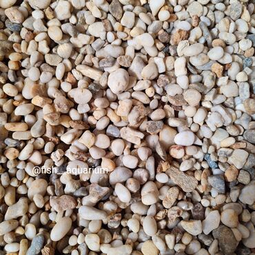 Аквариумы: Аквариумные пески. Грунты для аквариума. Большой выбор. Качественные — 7