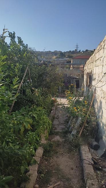 zigda torpaq: 4 sot, Tikinti, Mülkiyyətçi, Kupça (Çıxarış) — 1